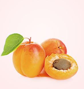 Dried Turkish apricot